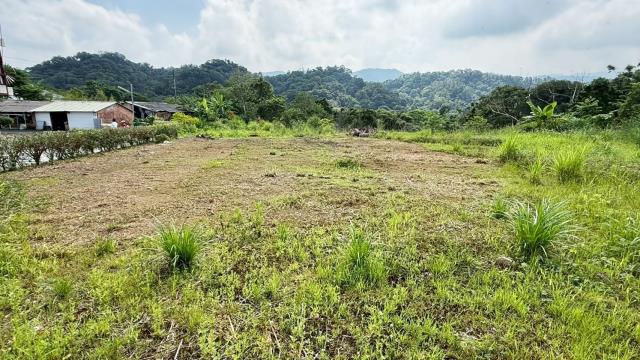 新竹橫山農地-11