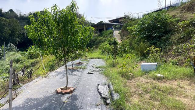 新竹寶山農地-5