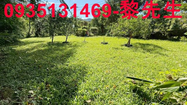 新竹關西農地-10