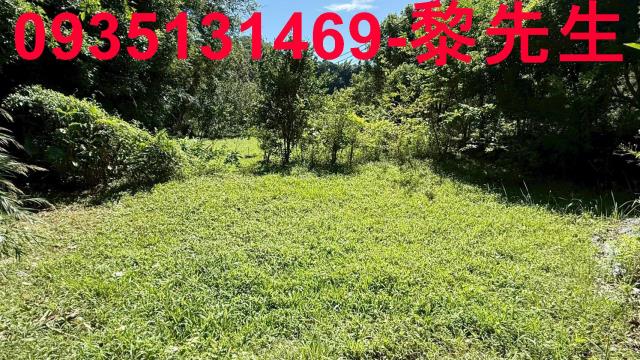 新竹關西農地-9