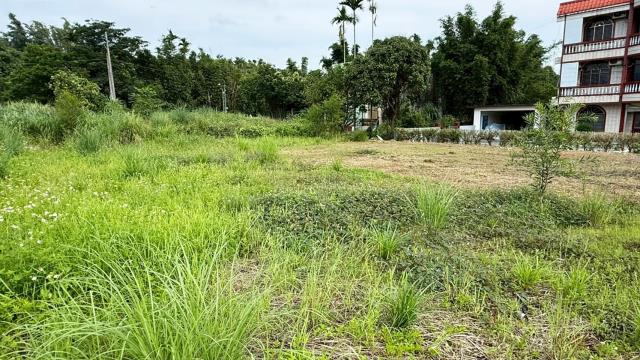 新竹橫山農地-5