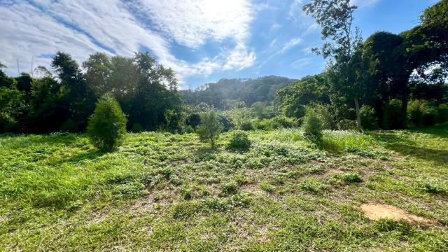 新竹竹東農地-12