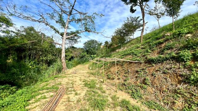 新竹竹東農地-12