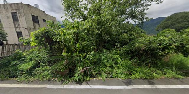 泰安農地法拍-1