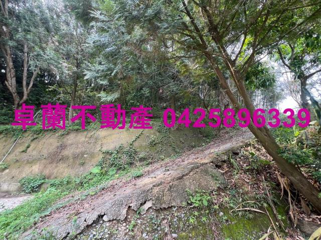 苗栗卓蘭農地-10