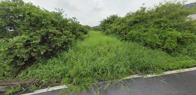 銅鑼法拍農地-1