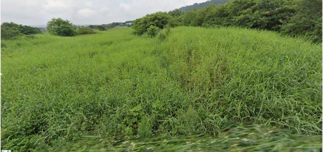 銅鑼農地法拍-15