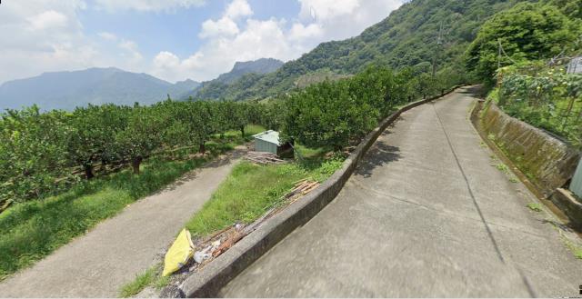 泰安農地法拍-12