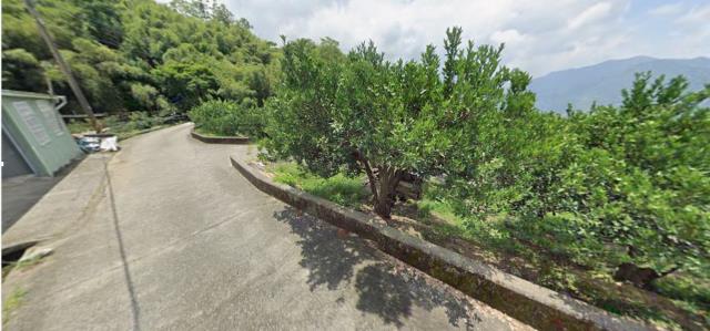 泰安農地法拍-13