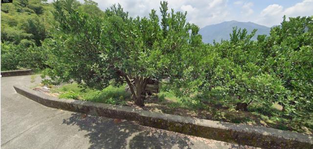 泰安農地法拍-1