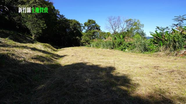 新竹農地-12