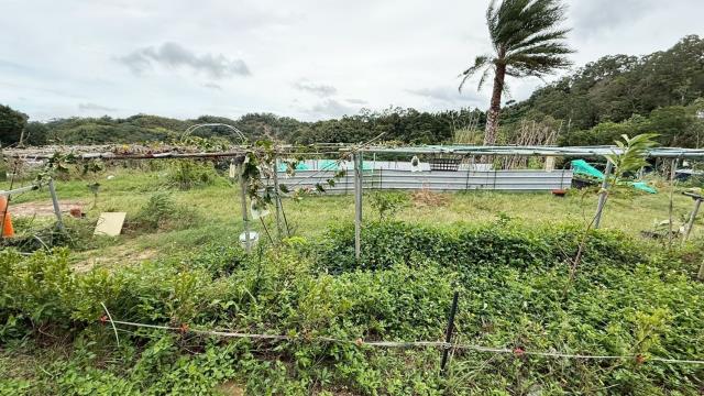 新竹寶山農地-13