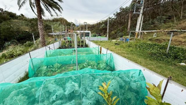 新竹寶山農地-3