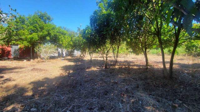 新竹橫山農地-3