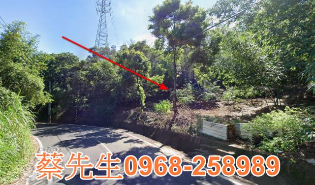 頭份法拍農地-12