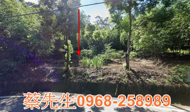 頭份法拍農地-1