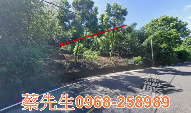 頭份法拍農地-6