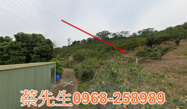 頭份法拍農地-12