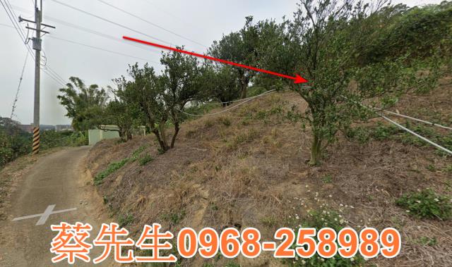 頭份法拍農地-13