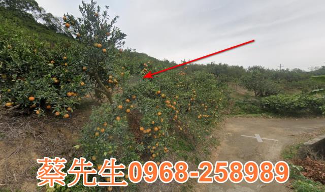 頭份法拍農地-14