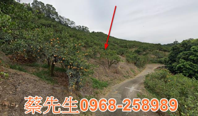 頭份法拍農地-15