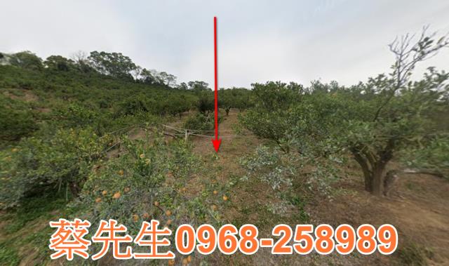 頭份法拍農地-1