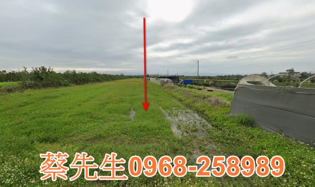 苗栗法拍農地-1