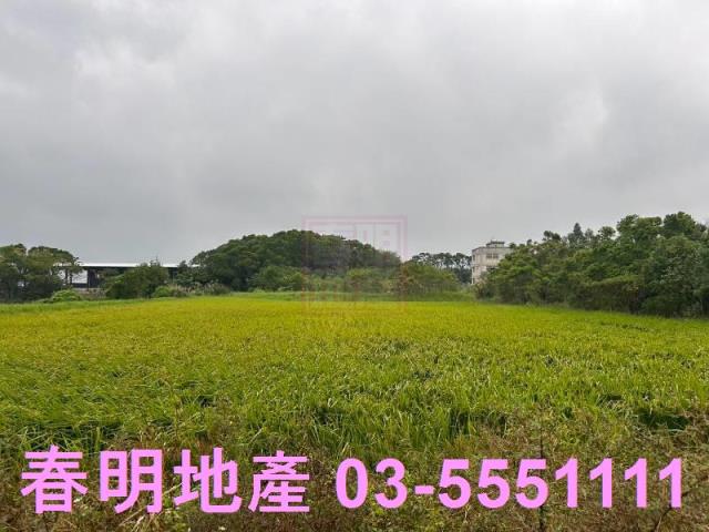 新竹湖口農地-2