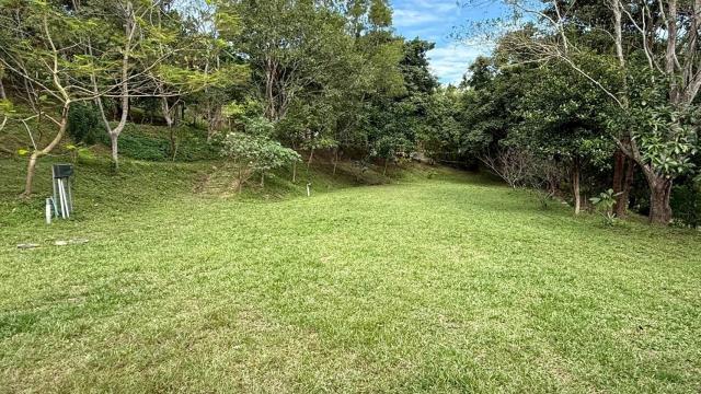 新竹關西農地-12