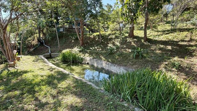 新竹關西農地-14