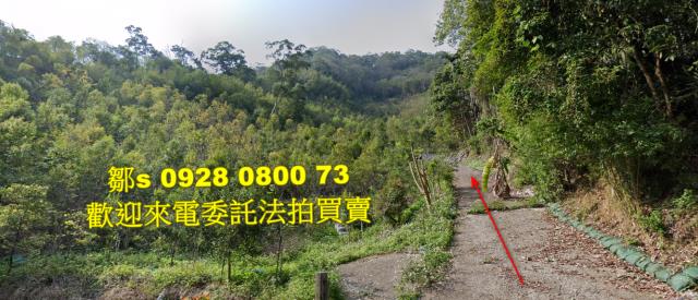 苗栗林地拍賣-1