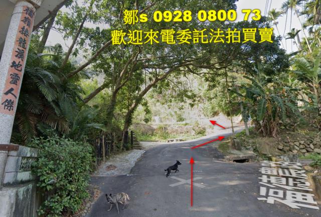 苗栗林地拍賣-2