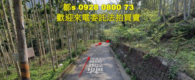 苗栗林地拍賣-11