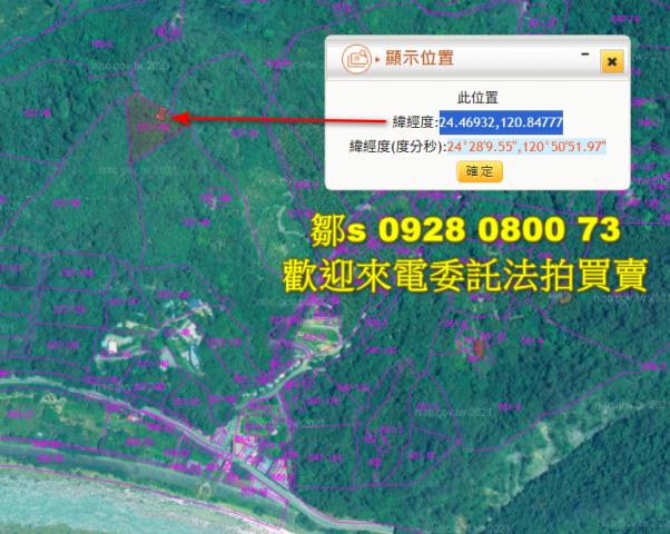 苗栗林地拍賣-13