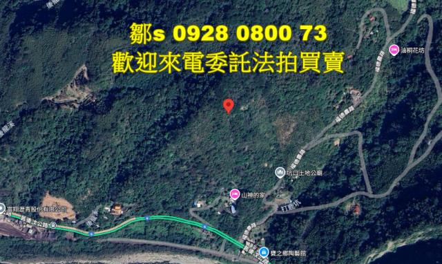 苗栗林地拍賣-14
