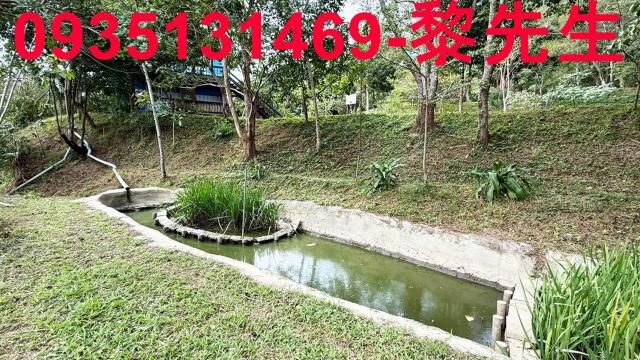 新竹關西農地-3