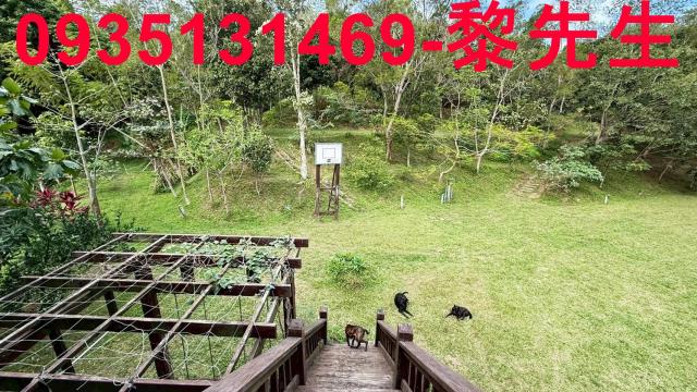 新竹關西農地-7