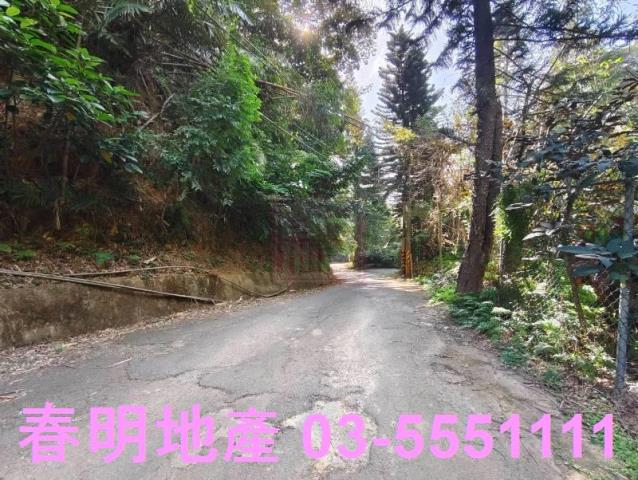 新竹關西農地-7