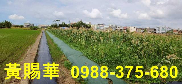 新竹湖口農地-10