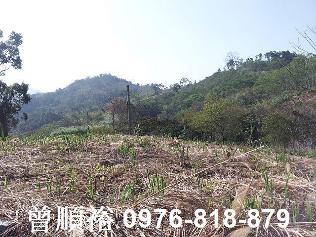 新竹尖石農地-2