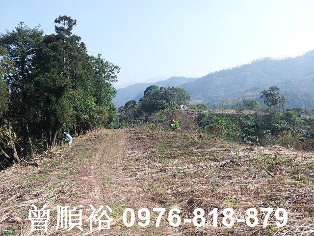 新竹尖石農地-5